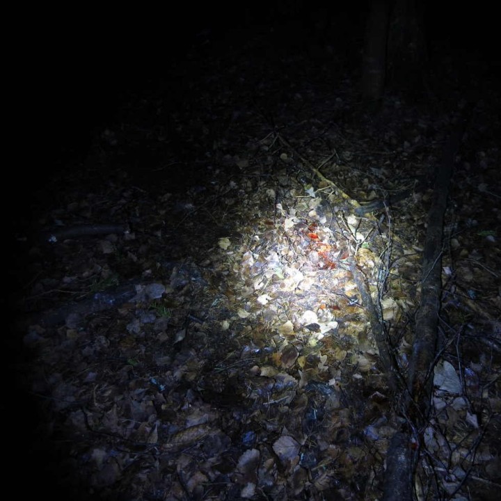 Eftersökslampa L2