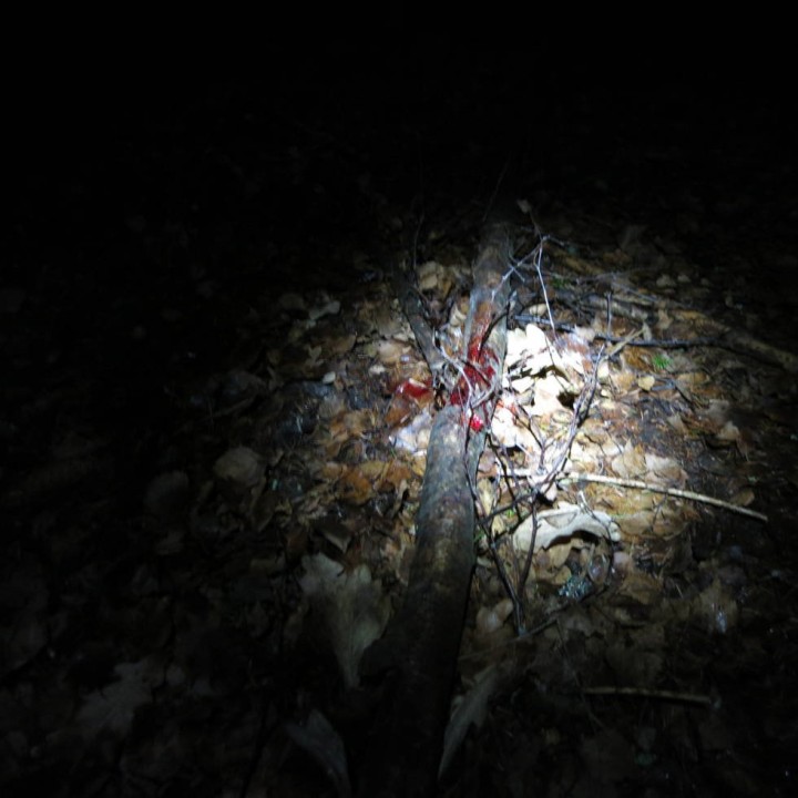 Eftersökslampa L2
